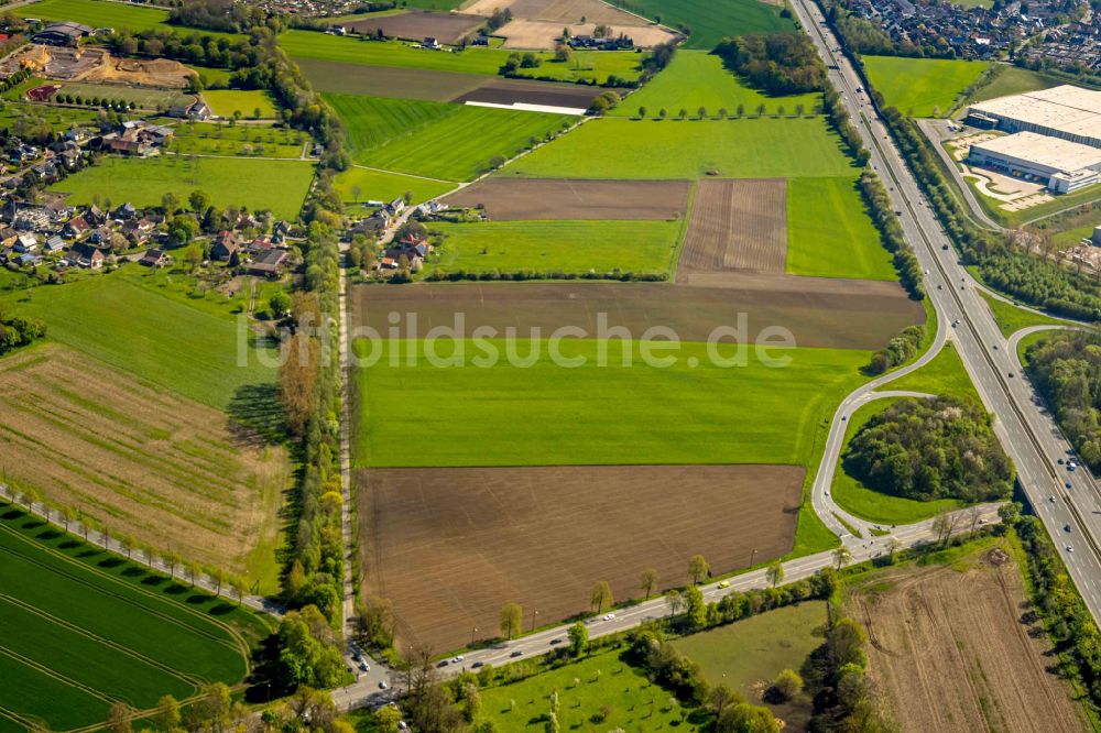 Bergkamen von oben - Strukturen auf landwirtschaftlichen Feldern in Bergkamen im Bundesland Nordrhein-Westfalen, Deutschland