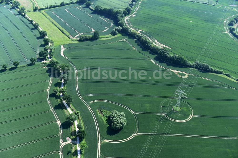 Luftbild Bühnsdorf - Strukturen auf landwirtschaftlichen Feldern in Bühnsdorf im Bundesland Schleswig-Holstein