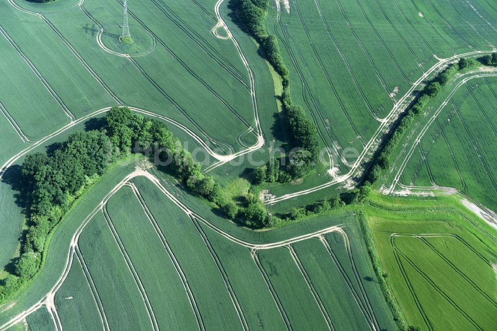 Bühnsdorf von oben - Strukturen auf landwirtschaftlichen Feldern in Bühnsdorf im Bundesland Schleswig-Holstein