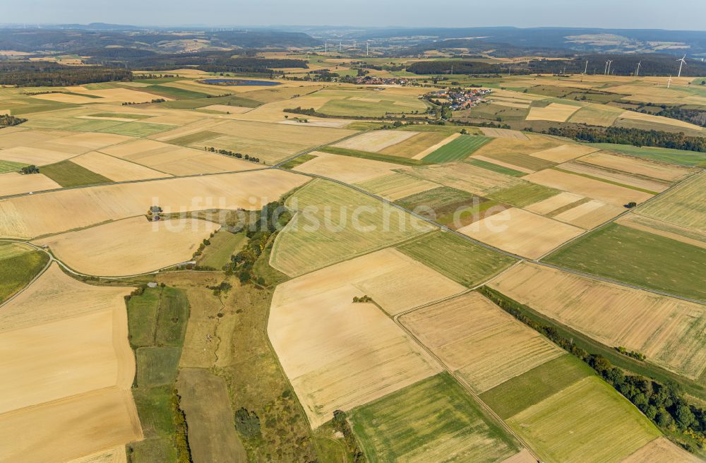 Borgholz von oben - Strukturen auf landwirtschaftlichen Feldern in Borgholz im Bundesland Nordrhein-Westfalen, Deutschland