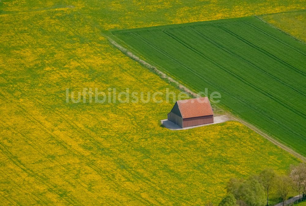 Luftaufnahme Brilon - Strukturen auf landwirtschaftlichen Feldern in Brilon im Bundesland Nordrhein-Westfalen, Deutschland