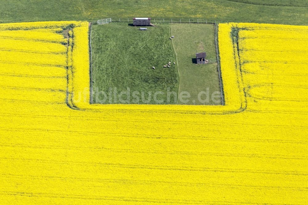 Buch aus der Vogelperspektive: Strukturen auf landwirtschaftlichen Feldern in Buch im Bundesland Bayern