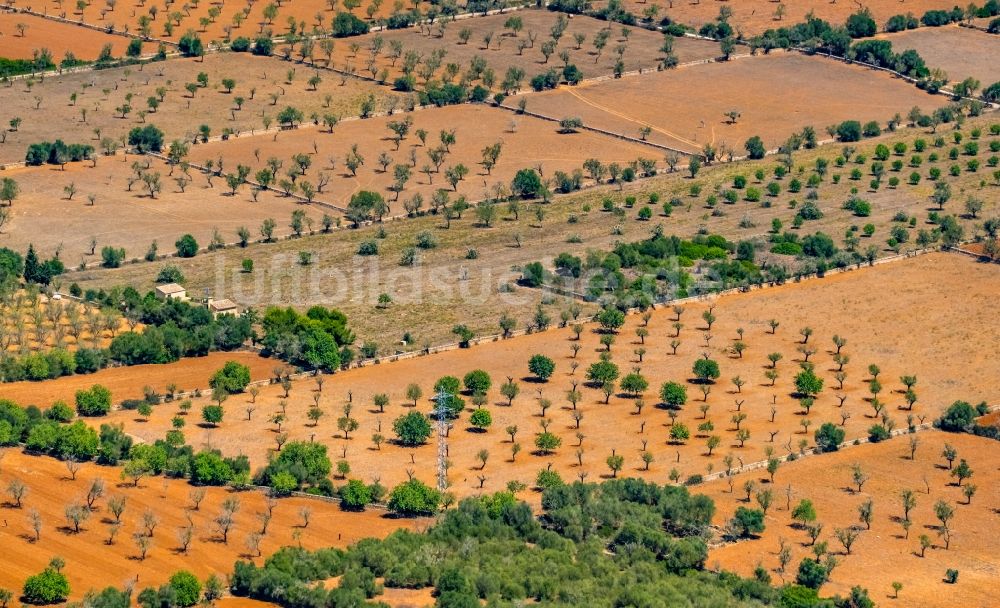 Campos von oben - Strukturen auf landwirtschaftlichen Feldern in Campos in Balearische Insel Mallorca, Spanien