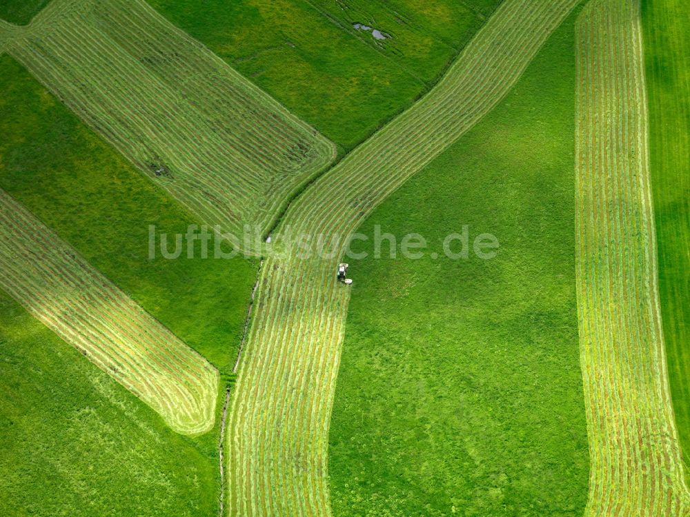 Luftaufnahme Dentingen - Strukturen auf landwirtschaftlichen Feldern in Dentingen im Bundesland Baden-Württemberg, Deutschland