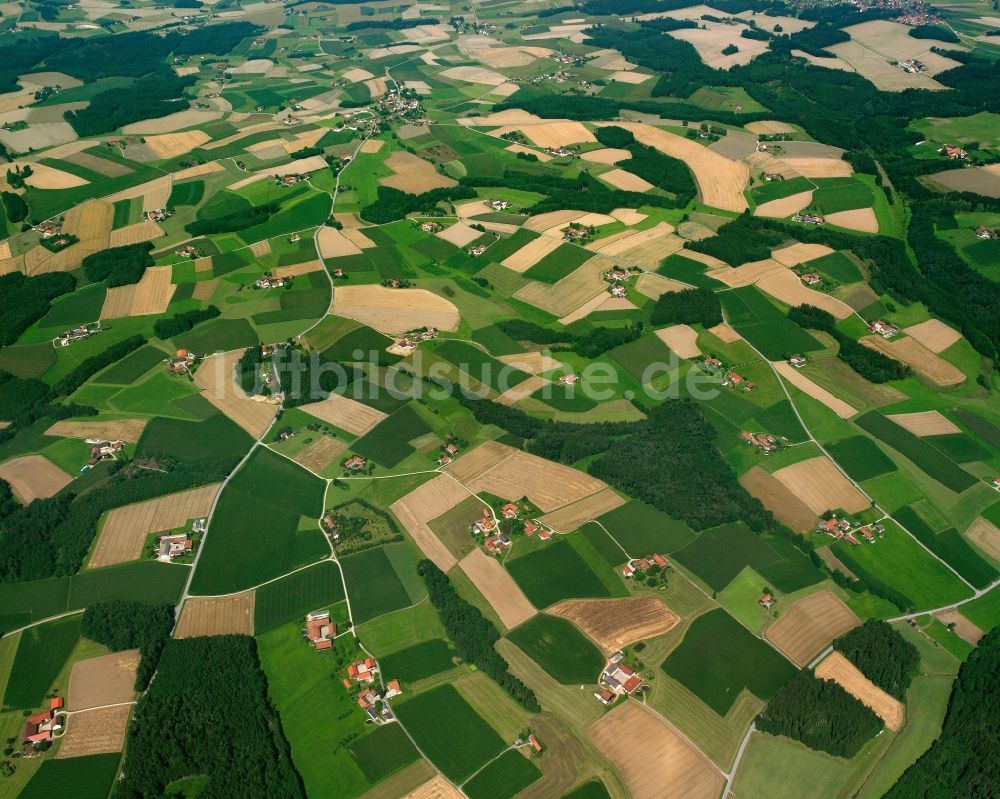 Dirnhub aus der Vogelperspektive: Strukturen auf landwirtschaftlichen Feldern in Dirnhub im Bundesland Bayern, Deutschland