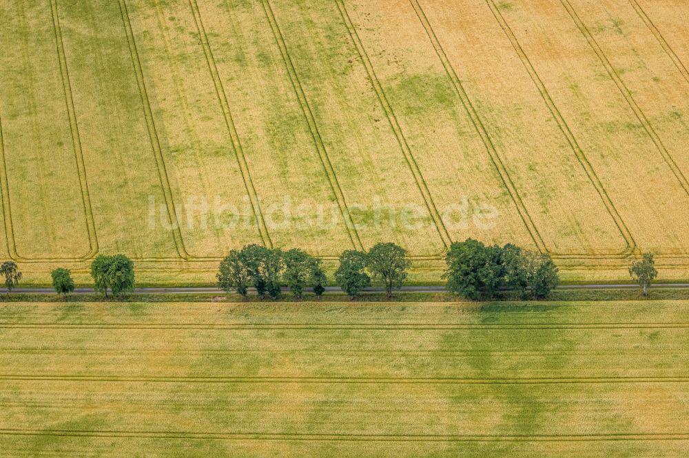 Luftbild Dorsten - Strukturen auf landwirtschaftlichen Feldern in Dorsten im Bundesland Nordrhein-Westfalen, Deutschland