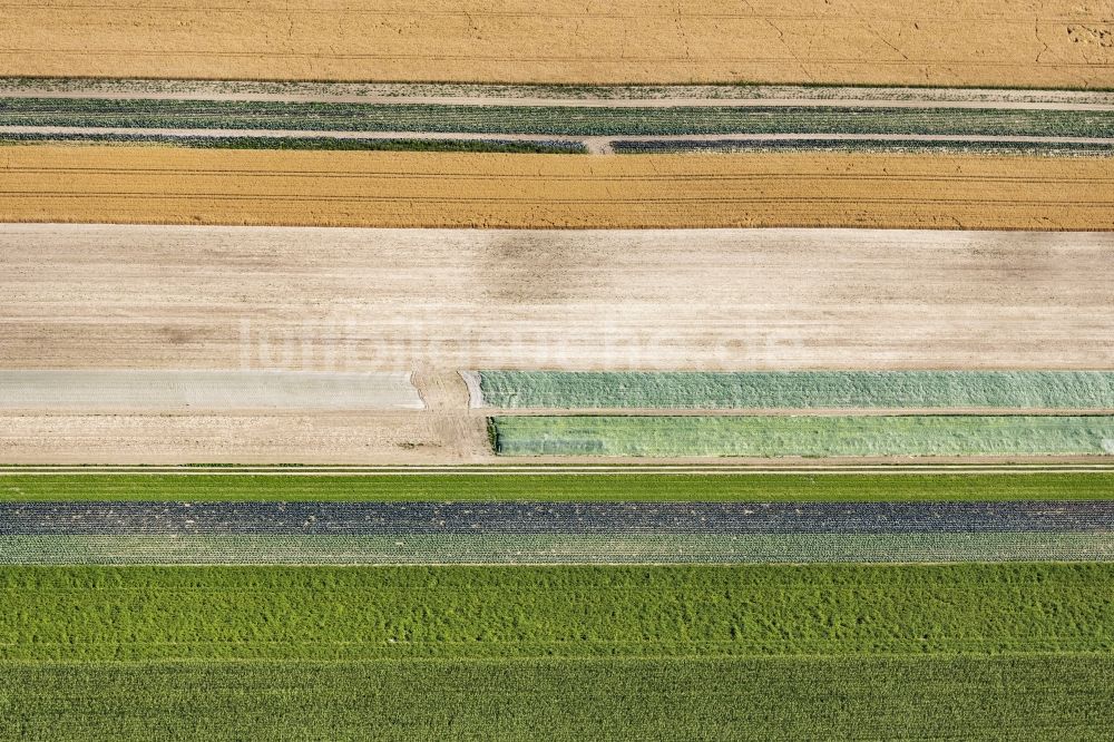 Eichenried aus der Vogelperspektive: Strukturen auf landwirtschaftlichen Feldern in Eichenried im Bundesland Bayern, Deutschland