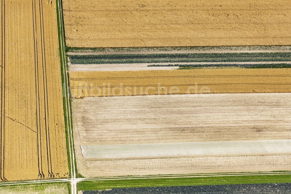 Luftbild Eichenried - Strukturen auf landwirtschaftlichen Feldern in Eichenried im Bundesland Bayern, Deutschland