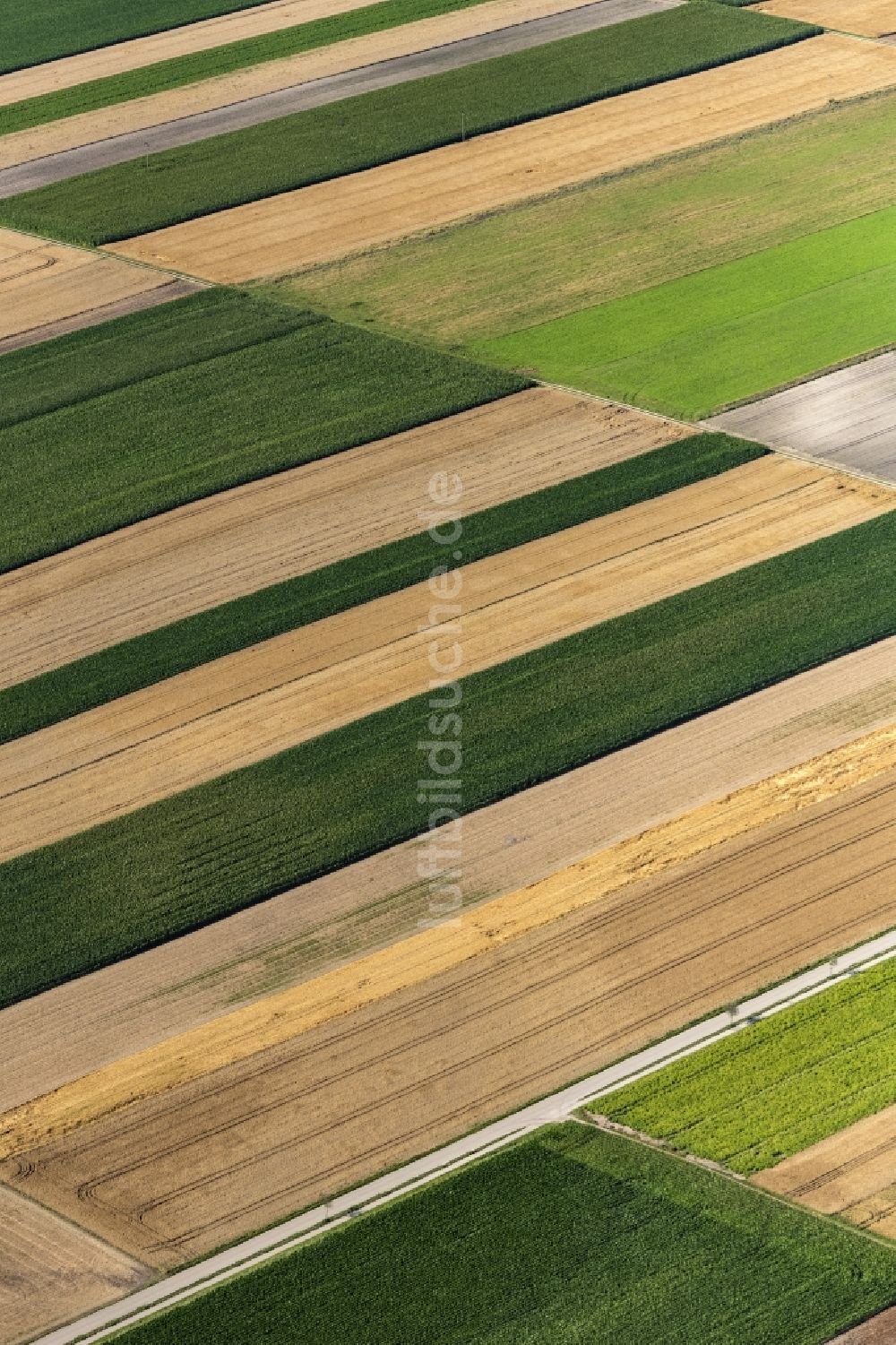 Eichenried von oben - Strukturen auf landwirtschaftlichen Feldern in Eichenried im Bundesland Bayern, Deutschland