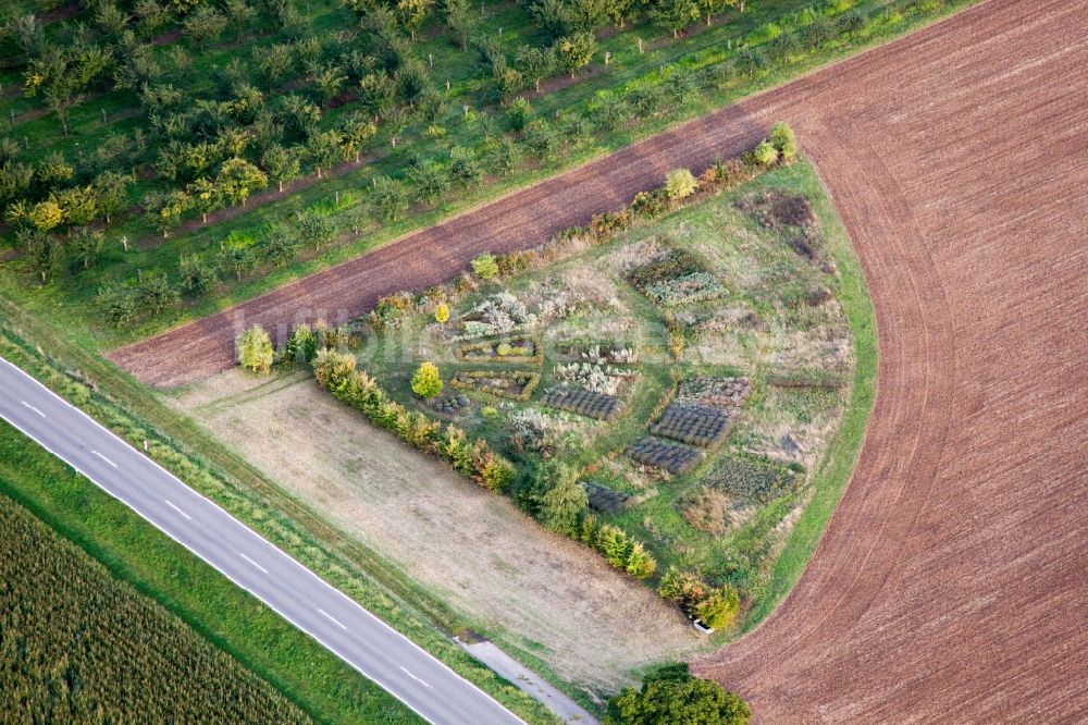 Kleinfischlingen von oben - Strukturen auf landwirtschaftlichen Feldern mit einem Test - Beet am Feldrand im Ortsteil Eckel in Kleinfischlingen im Bundesland Rheinland-Pfalz