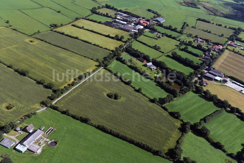 Luftbild Erfde - Strukturen auf landwirtschaftlichen Feldern in Erfde im Bundesland Schleswig-Holstein