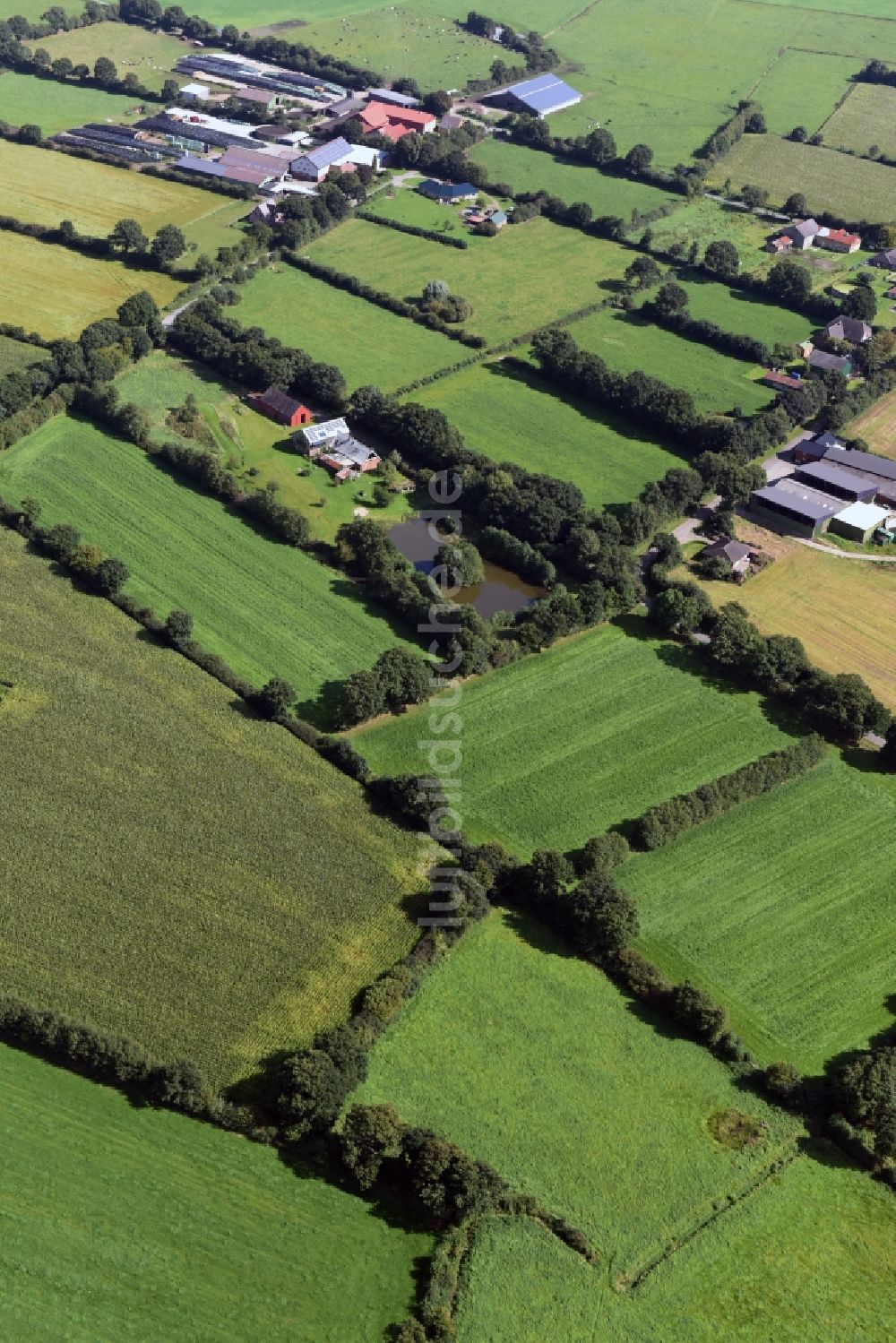 Luftaufnahme Erfde - Strukturen auf landwirtschaftlichen Feldern in Erfde im Bundesland Schleswig-Holstein