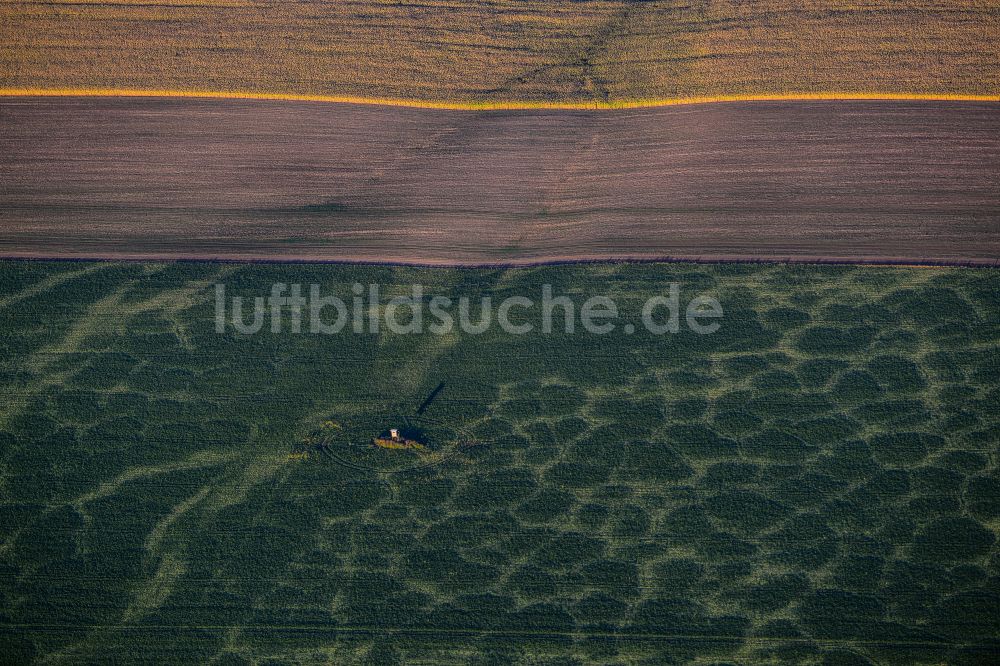 Luftbild Fienstedt - Strukturen auf landwirtschaftlichen Feldern in Fienstedt im Bundesland Sachsen-Anhalt, Deutschland