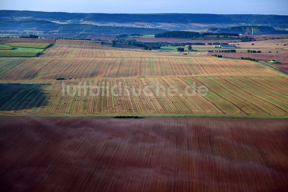 Luftaufnahme Friedrichsthal - Strukturen auf landwirtschaftlichen Feldern in Friedrichsthal im Bundesland Thüringen, Deutschland