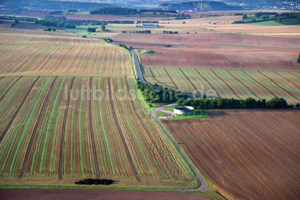 Friedrichsthal aus der Vogelperspektive: Strukturen auf landwirtschaftlichen Feldern in Friedrichsthal im Bundesland Thüringen, Deutschland