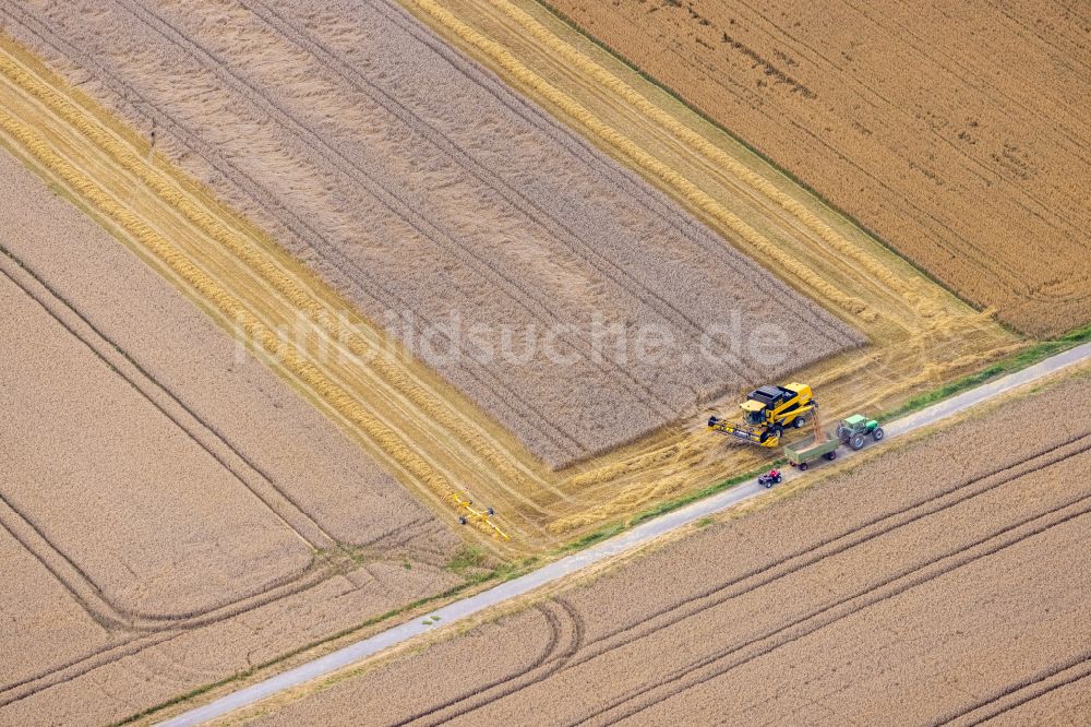 Luftaufnahme Frohnhausen - Strukturen auf landwirtschaftlichen Feldern in Frohnhausen im Bundesland Nordrhein-Westfalen, Deutschland