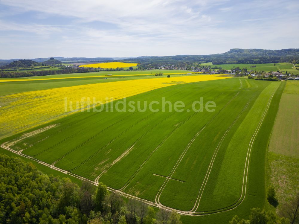 Reinhardtsdorf von oben - Strukturen auf landwirtschaftlichen Feldern am Fuße des Ensembles Kaiserkrone, Zirkelstein und den Zschirnsteinen in Reinhardtsdorf im Bundesland Sachsen, Deutschland