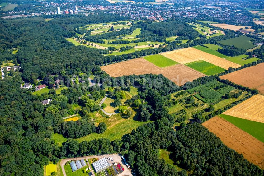 Gelsenkirchen aus der Vogelperspektive: Strukturen auf landwirtschaftlichen Feldern in Gelsenkirchen im Bundesland Nordrhein-Westfalen