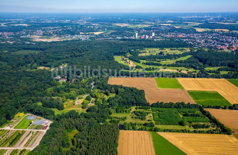 Luftaufnahme Gelsenkirchen - Strukturen auf landwirtschaftlichen Feldern in Gelsenkirchen im Bundesland Nordrhein-Westfalen