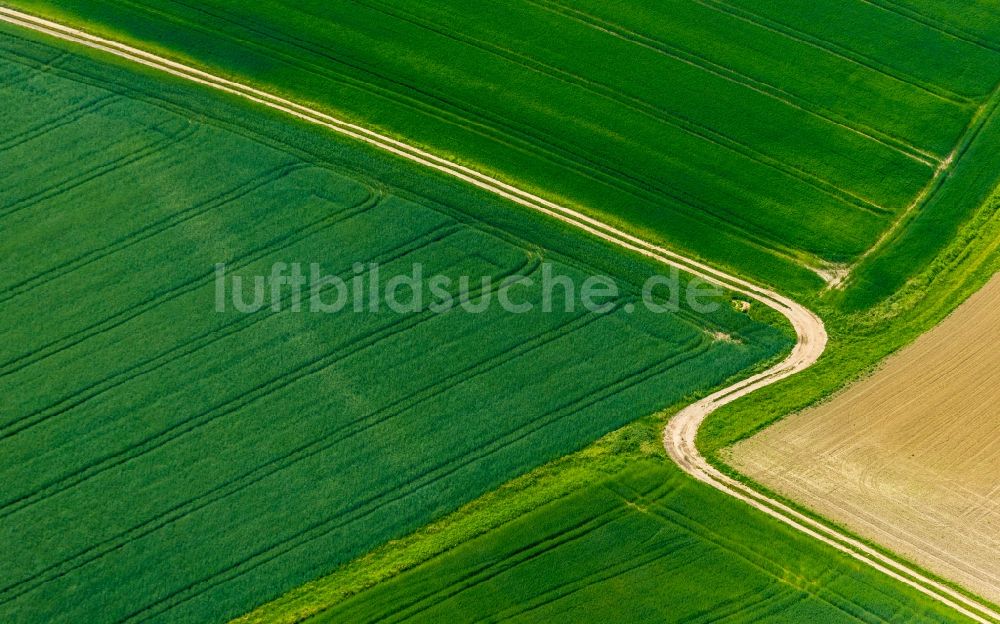 Lenklar aus der Vogelperspektive: Strukturen auf landwirtschaftlichen Feldern mit gewundenen Feldweg in Lenklar im Bundesland Nordrhein-Westfalen, Deutschland