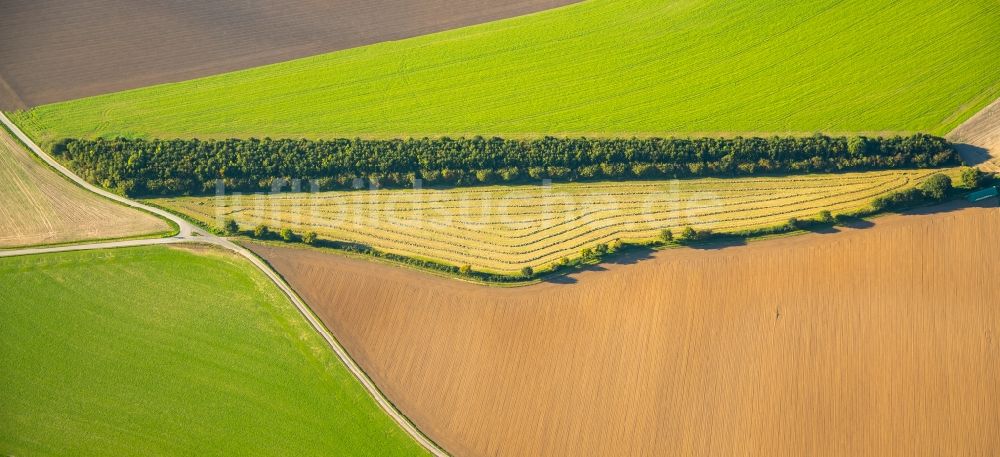 Großwinkelhausen von oben - Strukturen auf landwirtschaftlichen Feldern in Großwinkelhausen im Bundesland Nordrhein-Westfalen