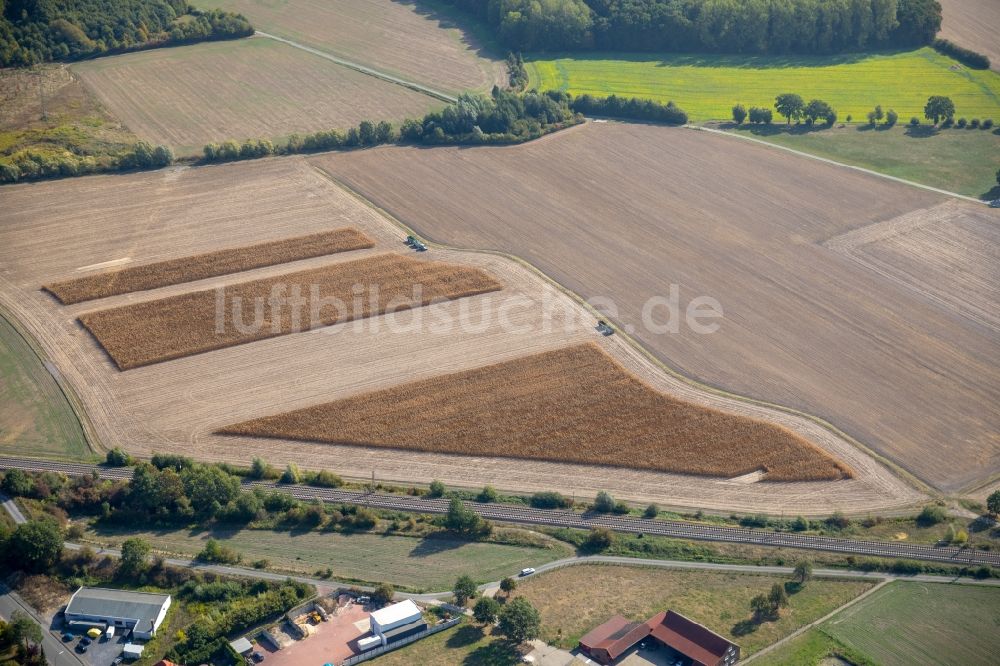 Hamm aus der Vogelperspektive: Strukturen auf landwirtschaftlichen Feldern in Hamm im Bundesland Nordrhein-Westfalen, Deutschland