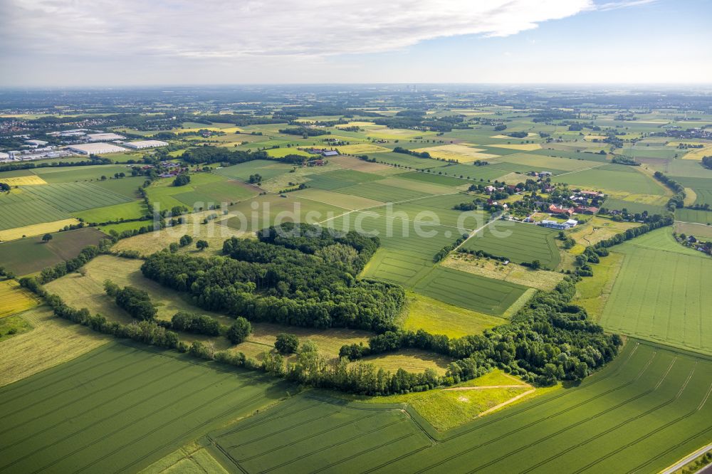 Luftaufnahme Hamm - Strukturen auf landwirtschaftlichen Feldern in Hamm im Bundesland Nordrhein-Westfalen, Deutschland