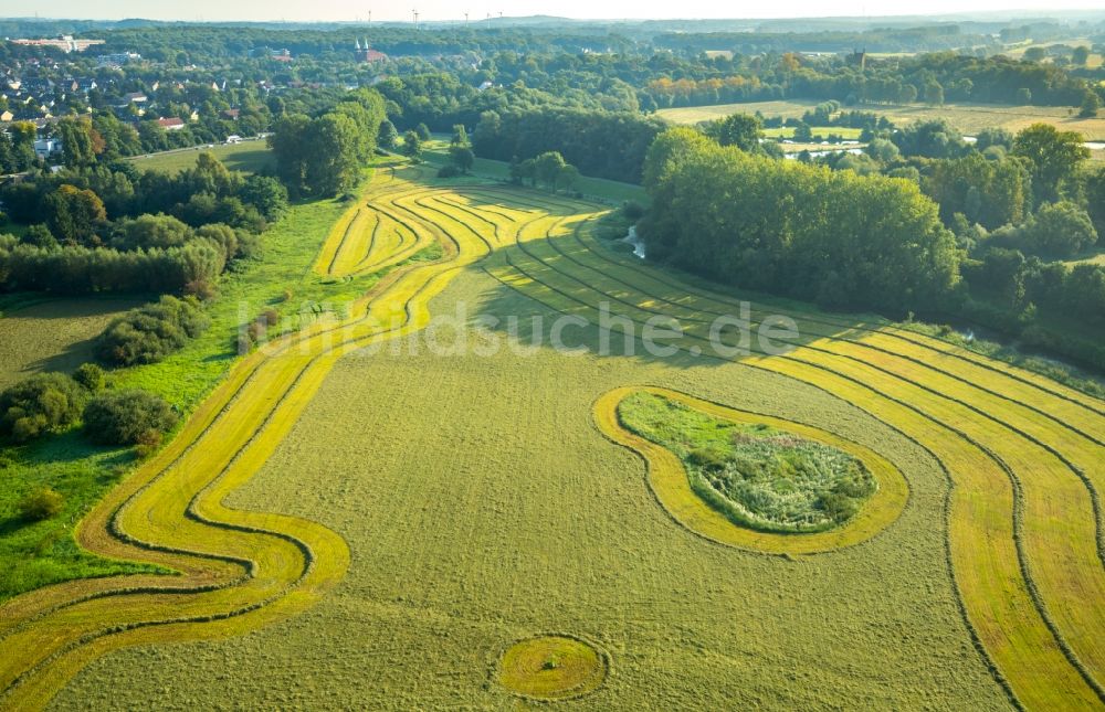 Hamm von oben - Strukturen auf landwirtschaftlichen Feldern in Hamm im Bundesland Nordrhein-Westfalen - NRW, Deutschland