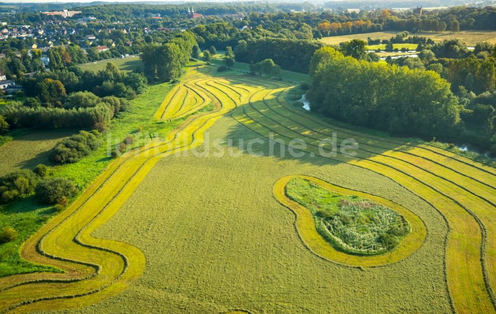 Hamm aus der Vogelperspektive: Strukturen auf landwirtschaftlichen Feldern in Hamm im Bundesland Nordrhein-Westfalen - NRW, Deutschland