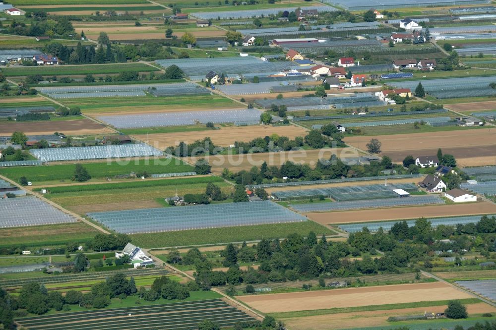 Heidelberg von oben - Strukturen auf landwirtschaftlichen Feldern am Handschuhsheimer Feld in Heidelberg im Bundesland Baden-Württemberg