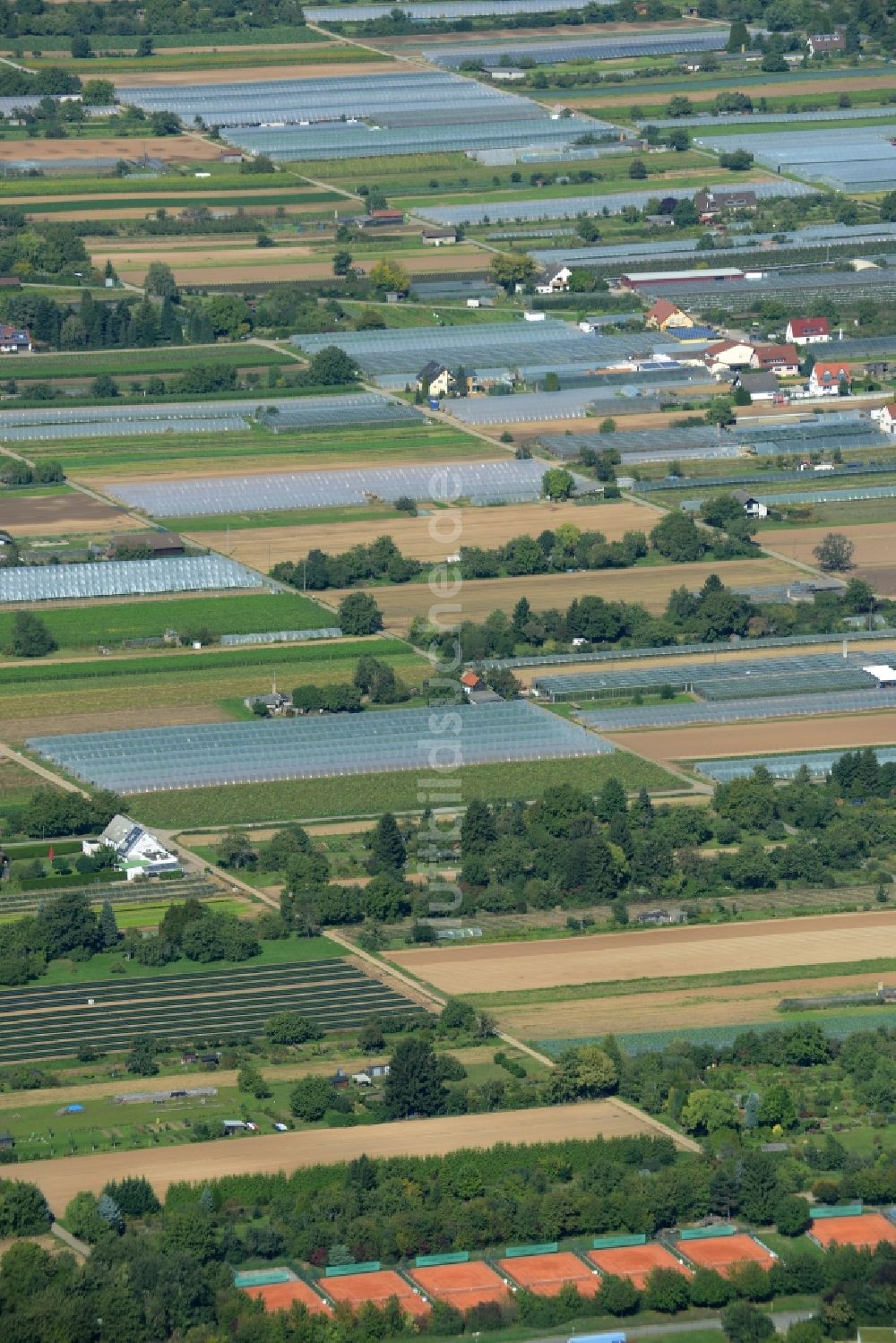 Heidelberg aus der Vogelperspektive: Strukturen auf landwirtschaftlichen Feldern am Handschuhsheimer Feld in Heidelberg im Bundesland Baden-Württemberg