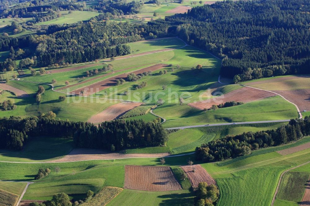 Hasel aus der Vogelperspektive: Strukturen auf landwirtschaftlichen Feldern in Hasel im Bundesland Baden-Württemberg