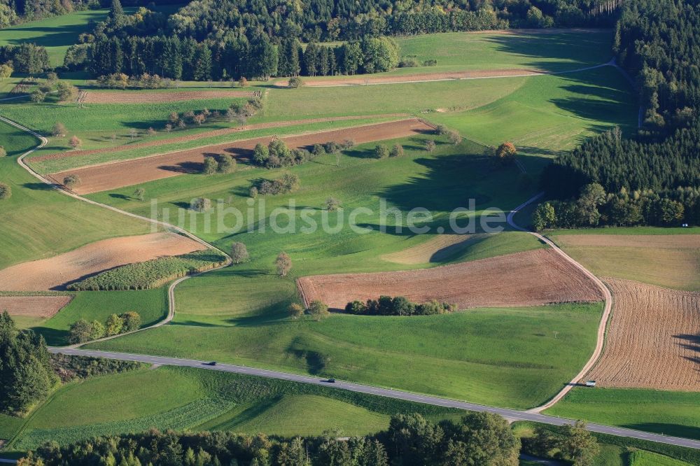 Luftbild Hasel - Strukturen auf landwirtschaftlichen Feldern in Hasel im Bundesland Baden-Württemberg