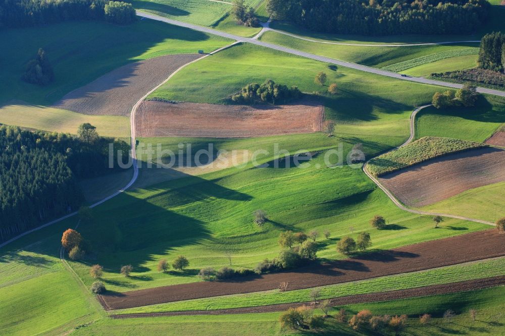 Hasel von oben - Strukturen auf landwirtschaftlichen Feldern in Hasel im Bundesland Baden-Württemberg