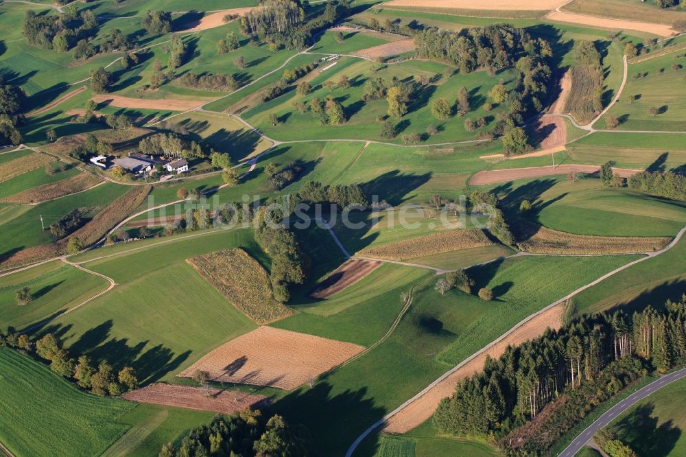 Luftaufnahme Hasel - Strukturen auf landwirtschaftlichen Feldern in Hasel im Bundesland Baden-Württemberg