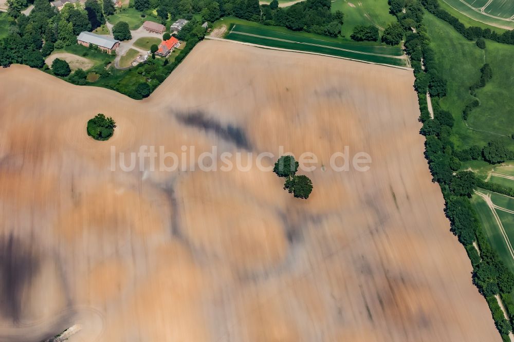 Helmstorf von oben - Strukturen auf landwirtschaftlichen Feldern in Helmstorf im Bundesland Schleswig-Holstein, Deutschland