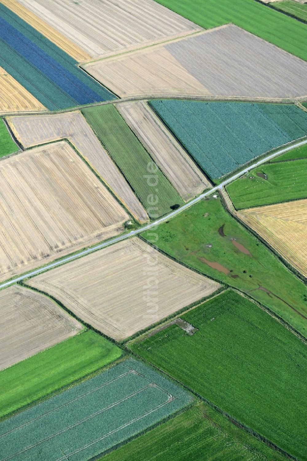 Helse von oben - Strukturen auf landwirtschaftlichen Feldern in Helse im Bundesland Schleswig-Holstein