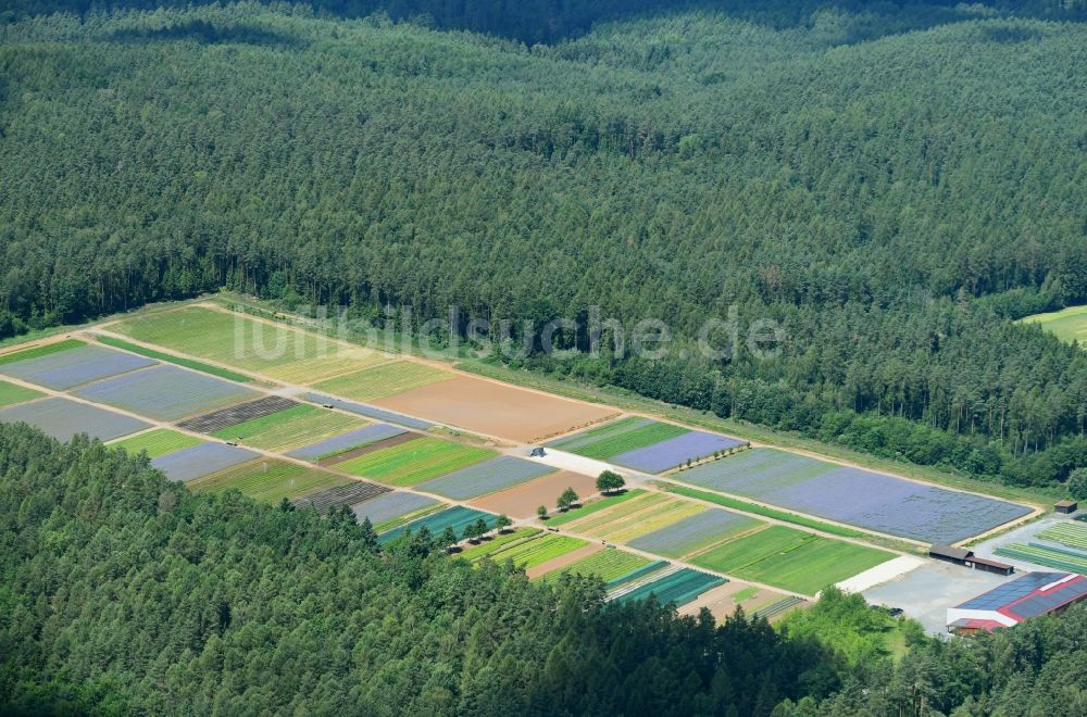 Hermannshof aus der Vogelperspektive: Strukturen auf landwirtschaftlichen Feldern in Hermannshof im Bundesland Bayern, Deutschland