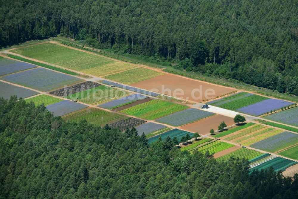 Luftbild Hermannshof - Strukturen auf landwirtschaftlichen Feldern in Hermannshof im Bundesland Bayern, Deutschland