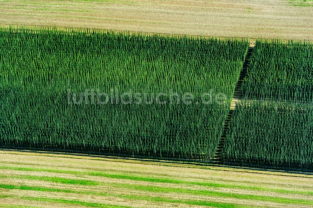 Willersdorf von oben - Strukturen auf landwirtschaftlichen Feldern mit Hopfen in Willersdorf im Bundesland Bayern, Deutschland