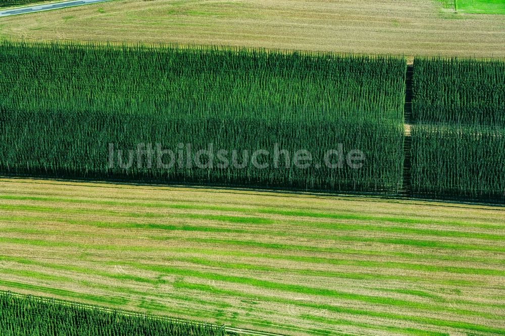 Willersdorf aus der Vogelperspektive: Strukturen auf landwirtschaftlichen Feldern mit Hopfen in Willersdorf im Bundesland Bayern, Deutschland