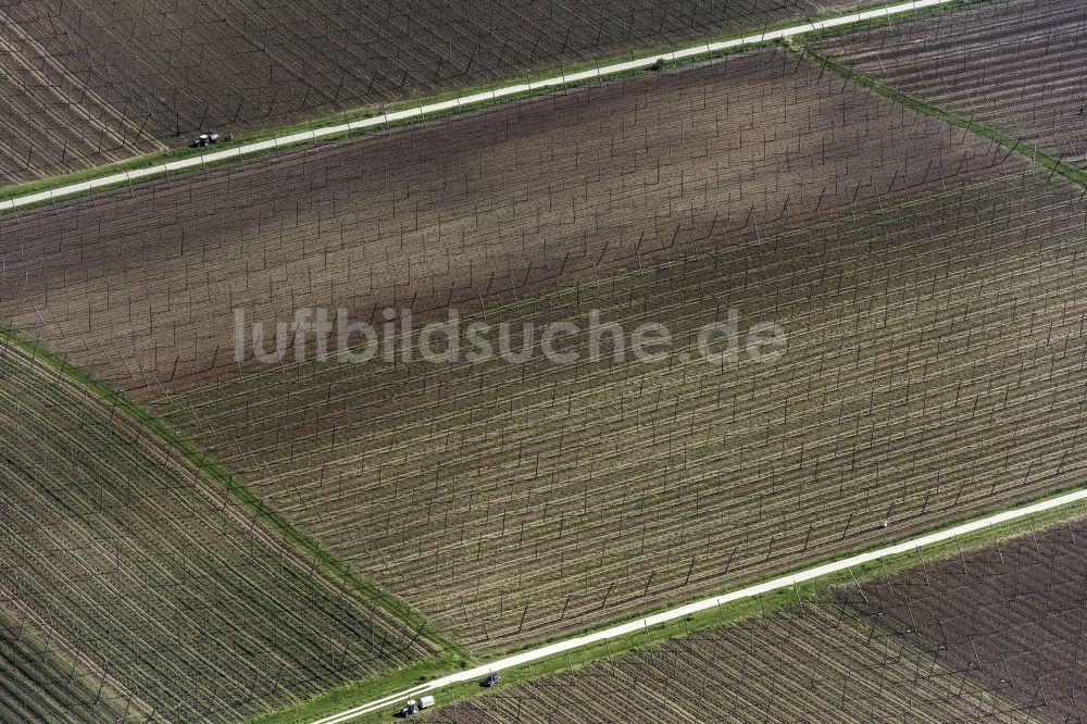 Luftbild Train - Strukturen auf landwirtschaftlichen Feldern Hopfenfeld in Train im Bundesland Bayern, Deutschland