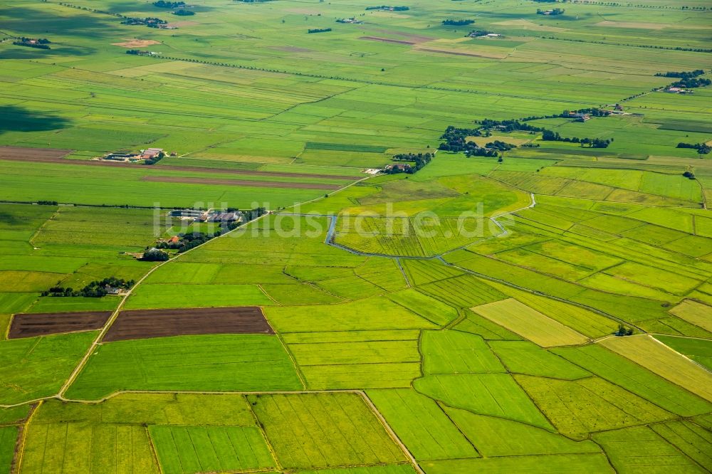 Jemgum von oben - Strukturen auf landwirtschaftlichen Feldern in Jemgum im Bundesland Niedersachsen