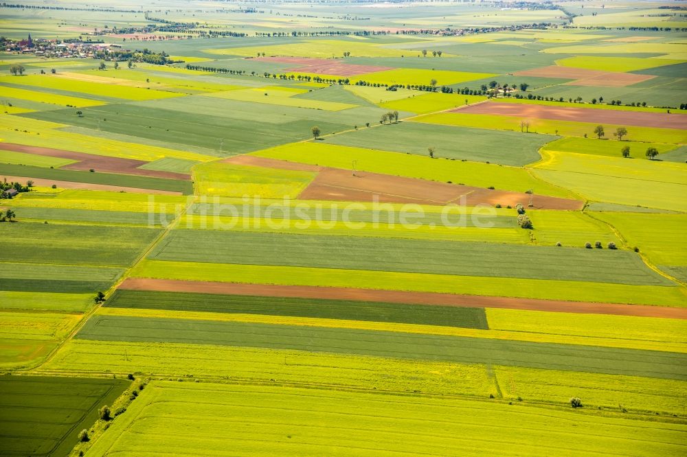 Luftbild Kacik - Strukturen auf landwirtschaftlichen Feldern in Kacik in Pomorskie, Polen