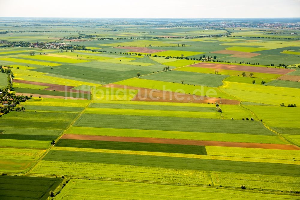 Kacik von oben - Strukturen auf landwirtschaftlichen Feldern in Kacik in Pomorskie, Polen