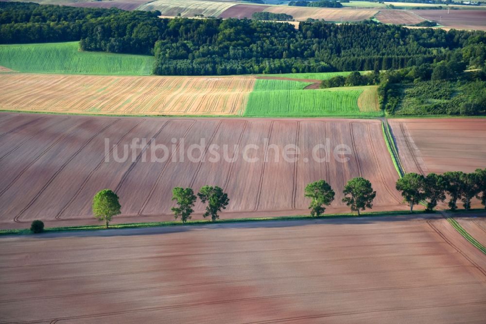 Luftaufnahme Kehmstedt - Strukturen auf landwirtschaftlichen Feldern in Kehmstedt im Bundesland Thüringen, Deutschland