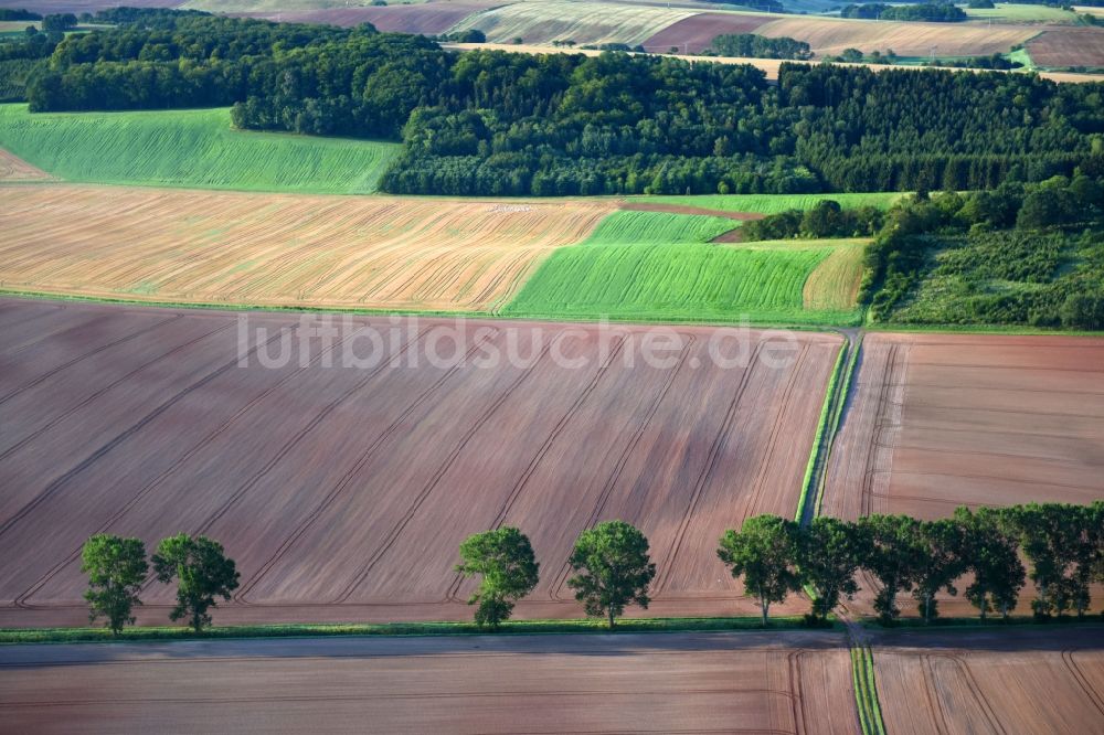 Kehmstedt von oben - Strukturen auf landwirtschaftlichen Feldern in Kehmstedt im Bundesland Thüringen, Deutschland