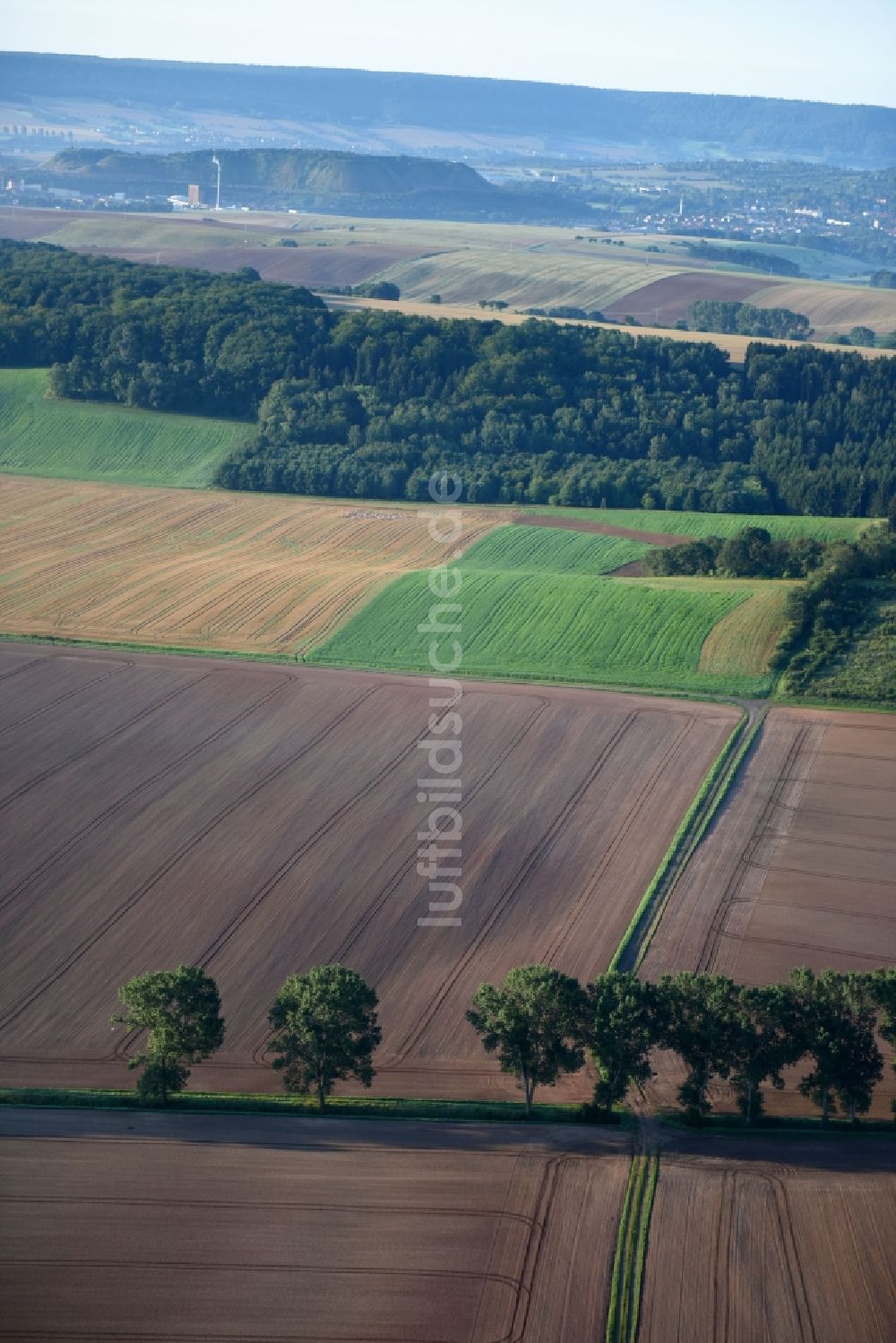 Kehmstedt aus der Vogelperspektive: Strukturen auf landwirtschaftlichen Feldern in Kehmstedt im Bundesland Thüringen, Deutschland