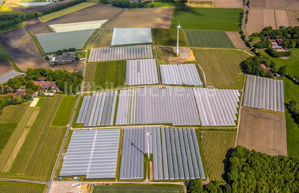 Luftbild Kirchhellen - Strukturen auf landwirtschaftlichen Feldern in Kirchhellen im Bundesland Nordrhein-Westfalen, Deutschland