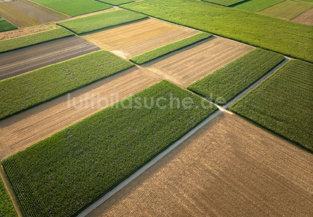 Kornwestheim von oben - Strukturen auf landwirtschaftlichen Feldern in Kornwestheim im Bundesland Baden-Württemberg